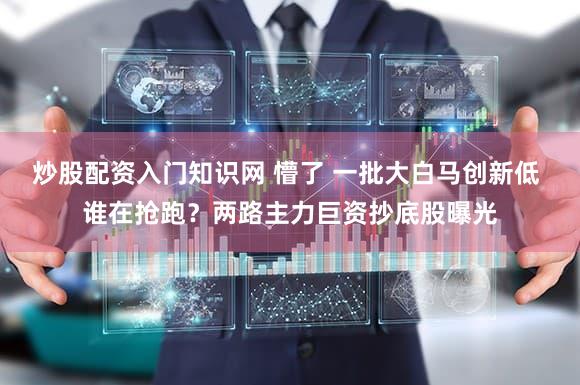 炒股配资入门知识网 懵了 一批大白马创新低 谁在抢跑？两路主力巨资抄底股曝光