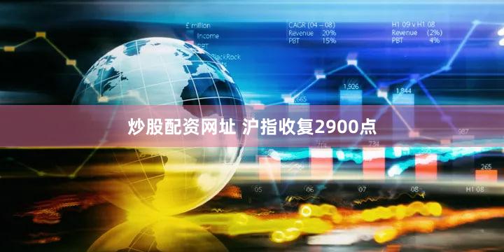 炒股配资网址 沪指收复2900点