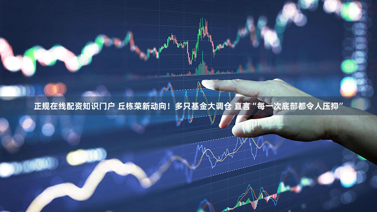 正规在线配资知识门户 丘栋荣新动向！多只基金大调仓 直言“每一次底部都令人压抑”