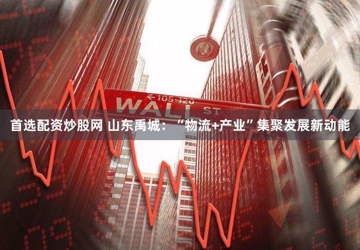 首选配资炒股网 山东禹城：“物流+产业”集聚发展新动能