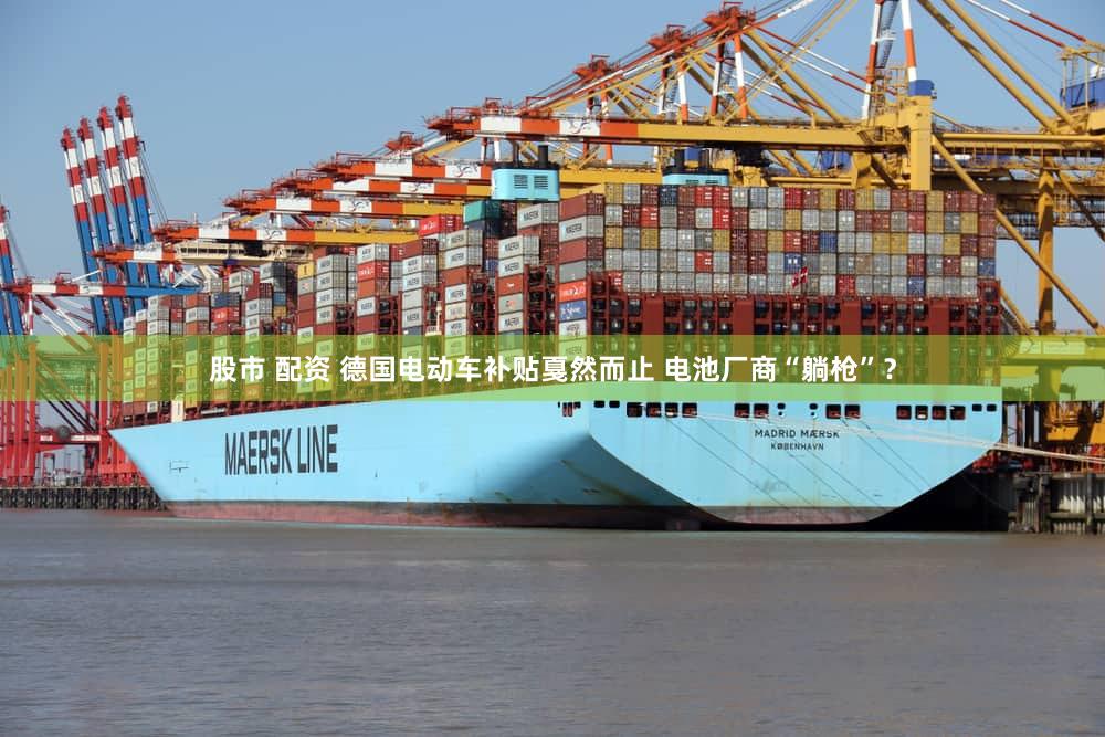 股市 配资 德国电动车补贴戛然而止 电池厂商“躺枪”？