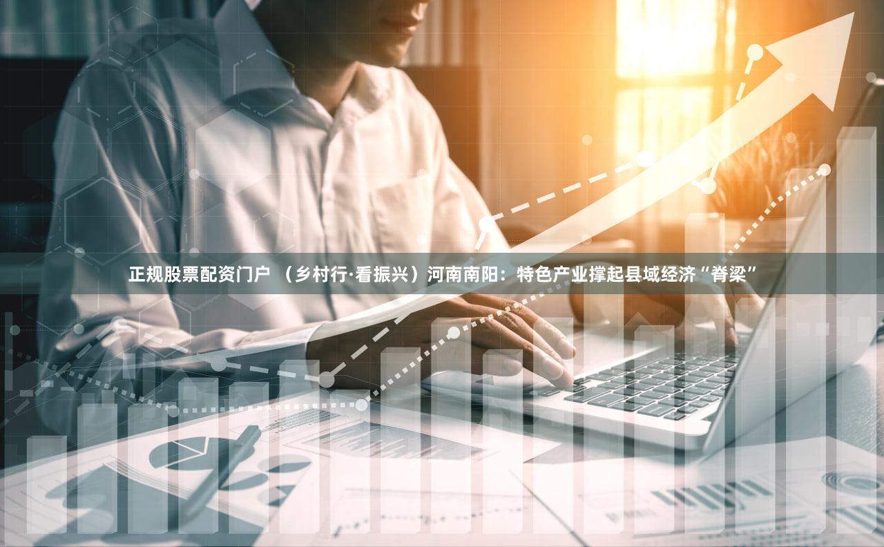 正规股票配资门户 （乡村行·看振兴）河南南阳：特色产业撑起县域经济“脊梁”