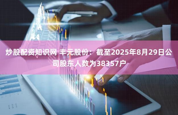 炒股配资知识网 丰元股份：截至2025年8月29日公司股东人数为38357户