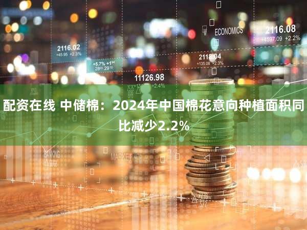 配资在线 中储棉：2024年中国棉花意向种植面积同比减少2.2%