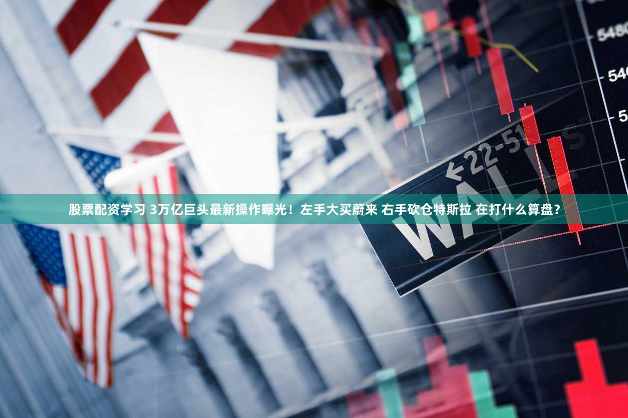 股票配资学习 3万亿巨头最新操作曝光！左手大买蔚来 右手砍仓特斯拉 在打什么算盘？