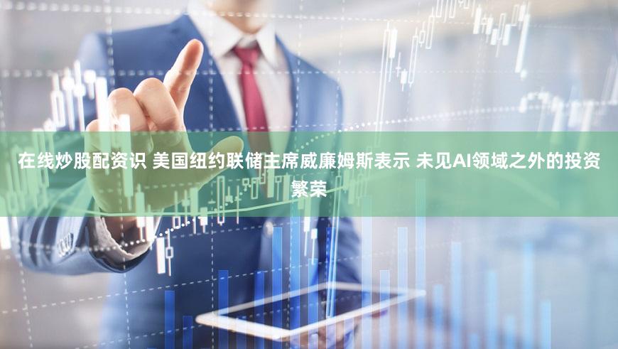 在线炒股配资识 美国纽约联储主席威廉姆斯表示 未见AI领域之外的投资繁荣